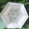 Chậu nhựa trồng cây (1)