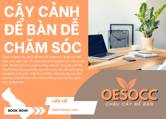 image banner liên kết chương trình tại Chậu cây để bàn oesocc (1)