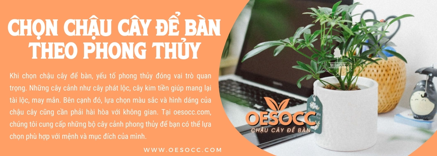 image slide banner home page Chậu cây để bàn oesocc (1)