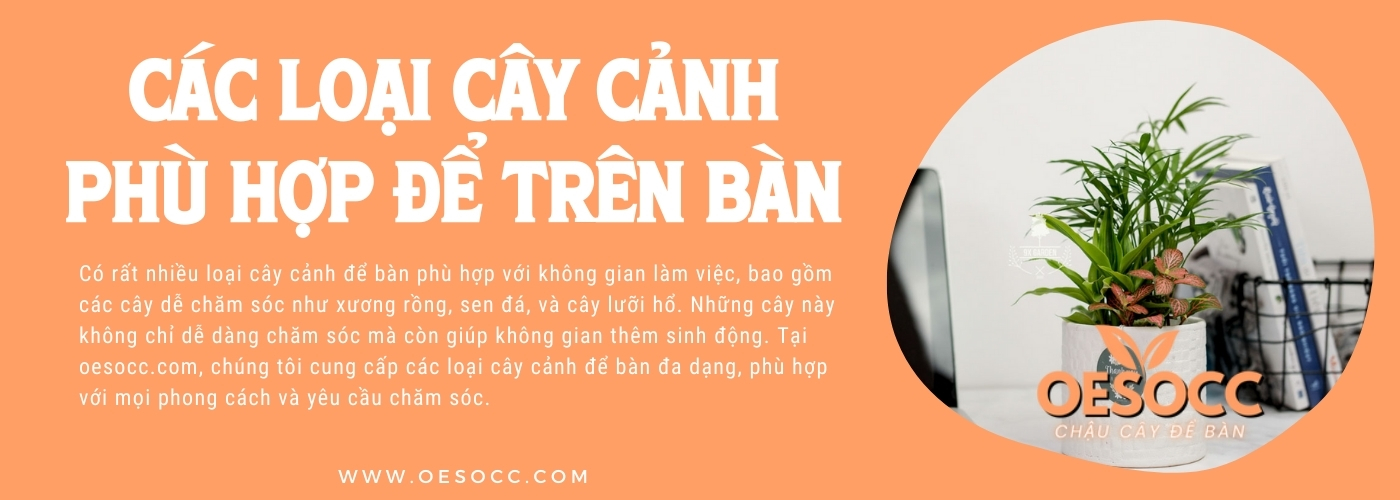 image slide banner home page Chậu cây để bàn oesocc (3)